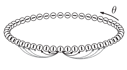 A ring of cells, taken from Marti and Rinzel (2013)